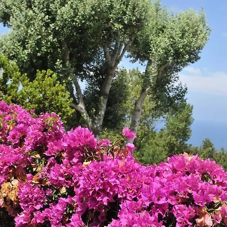 Hotel Sweetposeidon Forio di Ischia Zimmer foto